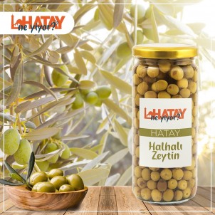 Hatay Halhalı Zeytin 1 Kg