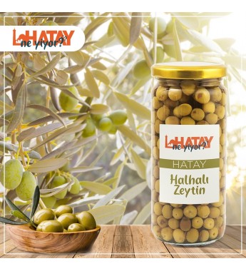 Hatay Halhalı Zeytin 1 Kg
